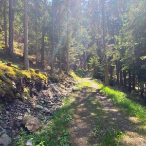 Tripurā Sundarī ~ Śrī Vidyā Sādhana Study and Practice Session #1